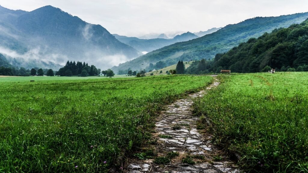 Writing as a Journey