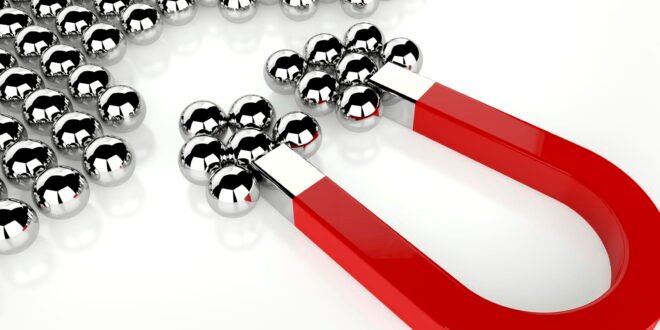Magnet