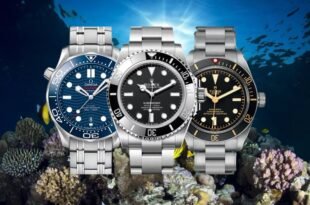 Dive Bezels